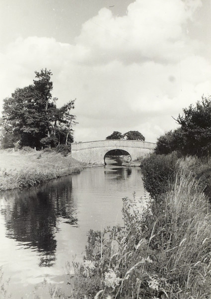 BW200-1-55-45 image BW200-1-55-45