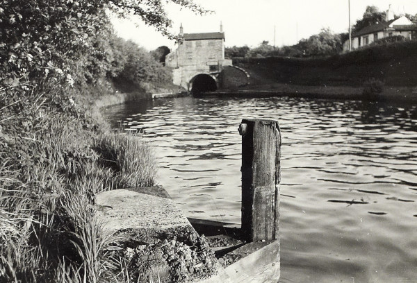 BW200-1-99-45 image BW200-1-99-45