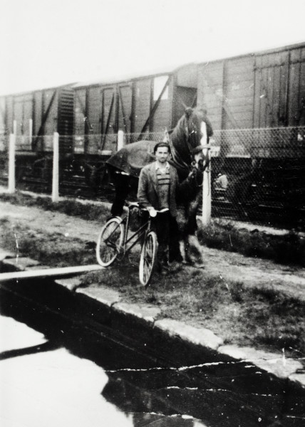 BW192-3-2-2-13-1-645 image BW192-3-2-2-13-1-645