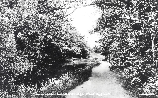 R0155 image R0155