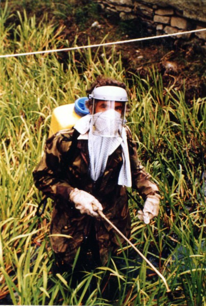mw-spraying image mw-spraying