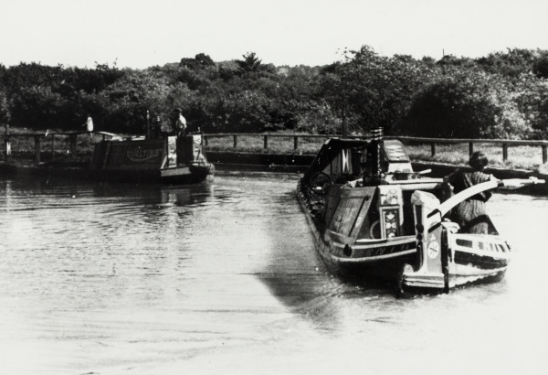 BW192-3-2-2-13-1-255 image BW192-3-2-2-13-1-255