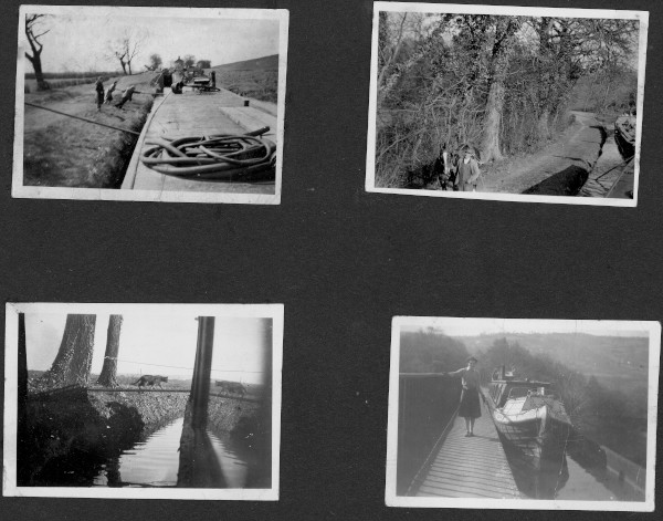section 7 image section 7