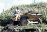 wc85_girlondumper image wc85_girlondumper