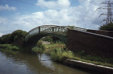 crt_wild_81 image crt_wild_81