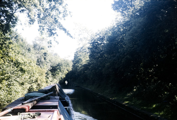 BW197-2-1-95 image BW197-2-1-95