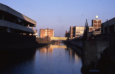 crt_wild_162 image crt_wild_162