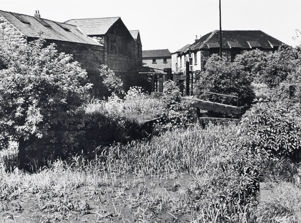 R0495 image R0495