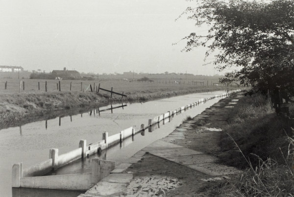 BW192-3-2-1-2-6 image BW192-3-2-1-2-6