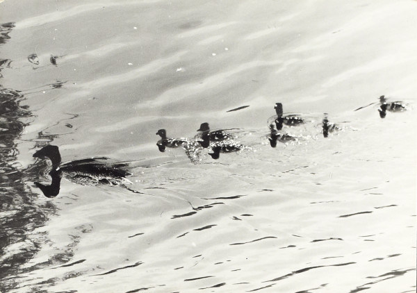 BW200-1-85-2-6 image BW200-1-85-2-6