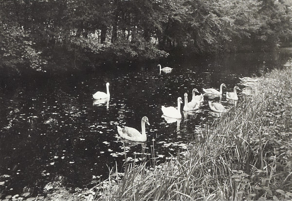 BW200-1-7-22-6 image BW200-1-7-22-6