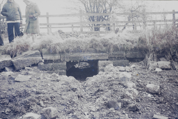 BW197-2-20-42-6 image BW197-2-20-42-6