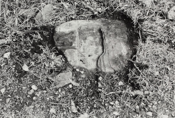 BW192-3-2-5-3-6 image BW192-3-2-5-3-6