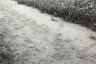 BW200-1-47-3-6 image BW200-1-47-3-6