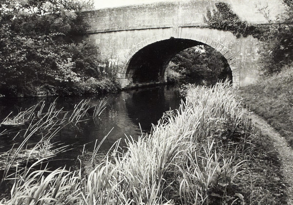 BW200-1-47-23-6 image BW200-1-47-23-6