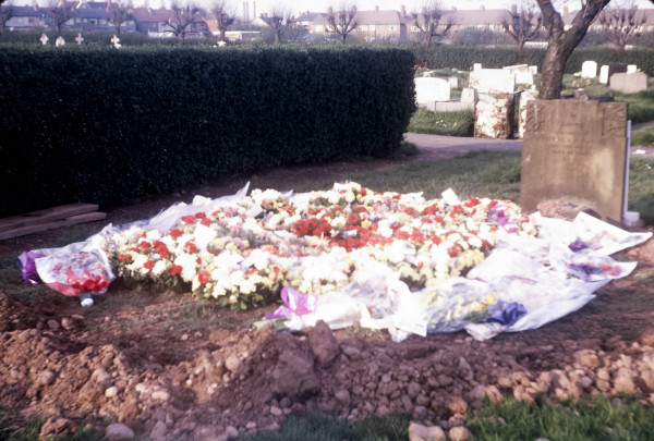 BW197-2-18-24-6 image BW197-2-18-24-6