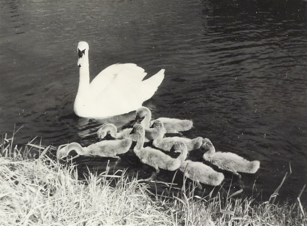 BW200-1-47-34-6 image BW200-1-47-34-6