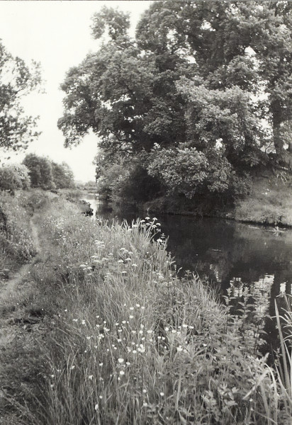 BW200-1-99-74-6 image BW200-1-99-74-6