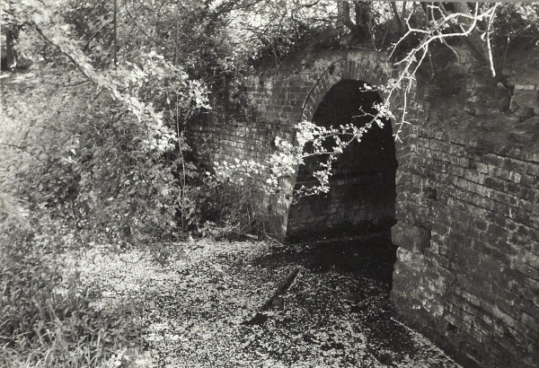 BW200-1-51-6-6 image BW200-1-51-6-6