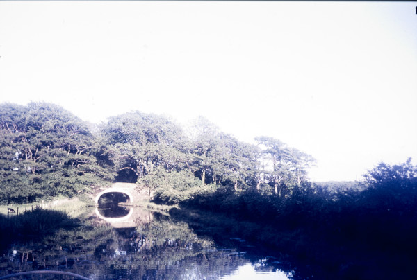 BW197-2-15-6-6 image BW197-2-15-6-6