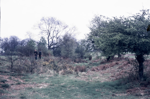 BW197-2-27-6-6 image BW197-2-27-6-6