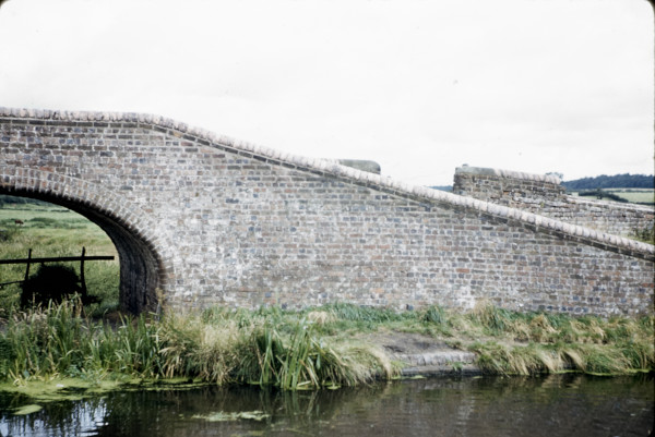 BW197-2-16-6 image BW197-2-16-6