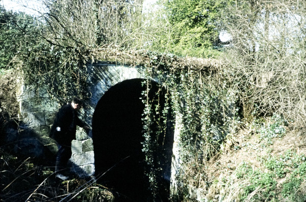 BW197-2-22-17-6 image BW197-2-22-17-6