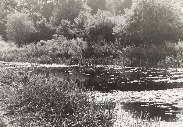 BW200-1-7-27-6 image BW200-1-7-27-6