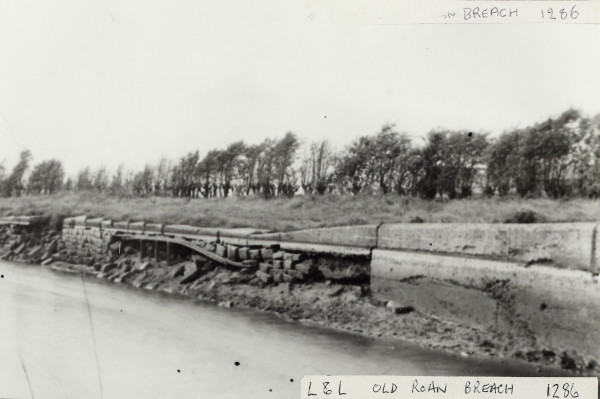 BW192-3-1-29-8-6 image BW192-3-1-29-8-6