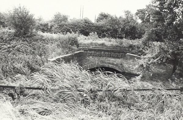 BW200-1-99-98-6 image BW200-1-99-98-6