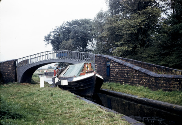 BW197-2-24-19-6 image BW197-2-24-19-6