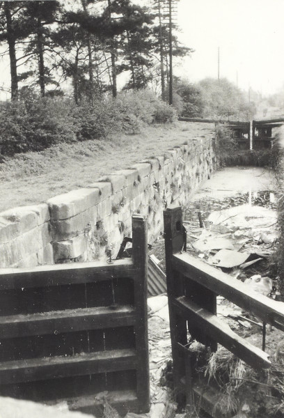 BW200-1-29-6 image BW200-1-29-6