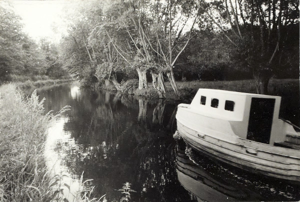 BW200-1-89-29-6 image BW200-1-89-29-6