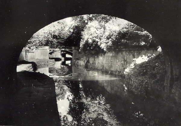 BW200-1-47-39-6 image BW200-1-47-39-6