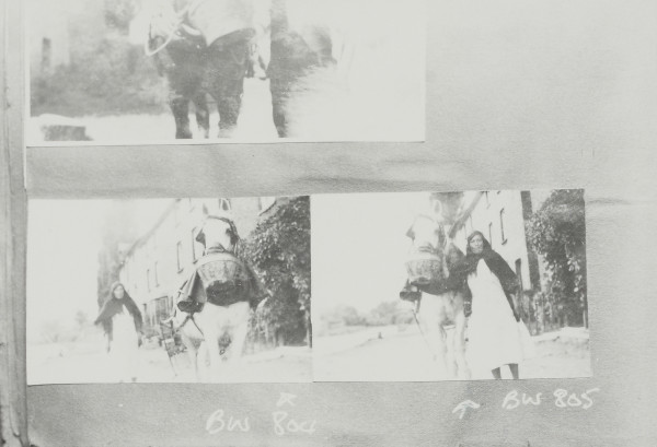 BW192-3-2-2-13-1-306 image BW192-3-2-2-13-1-306