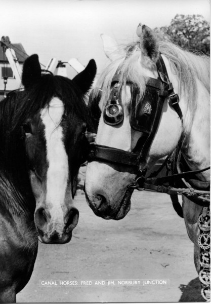 20022_0746 image 20022_0746