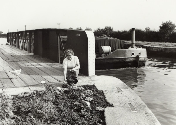 BW192-3-1-34-1-16 image BW192-3-1-34-1-16