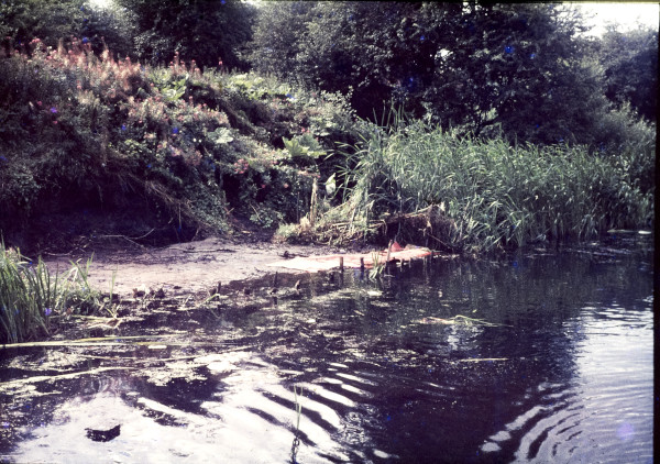 BW197-2-12-16 image BW197-2-12-16