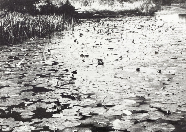 BW192-3-1-2-3-16 image BW192-3-1-2-3-16