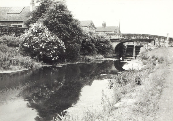 BW200-1-27-16 image BW200-1-27-16