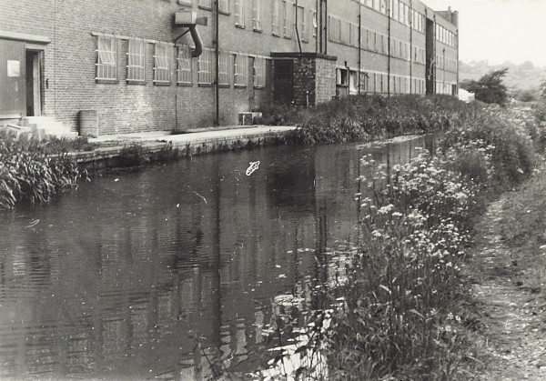 BW200-1-18-16 image BW200-1-18-16