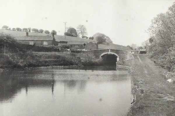 BW200-1-52-1-28-16 image BW200-1-52-1-28-16