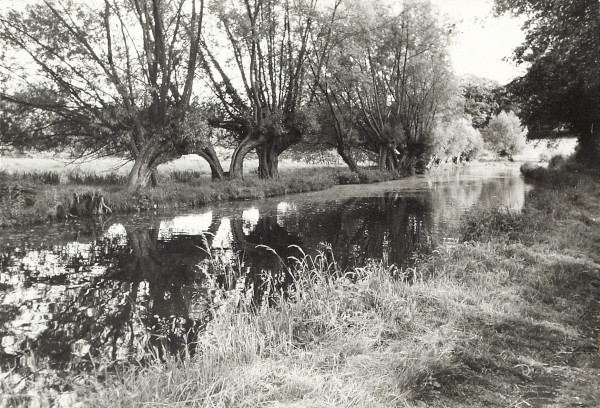 BW200-1-89-29-16 image BW200-1-89-29-16