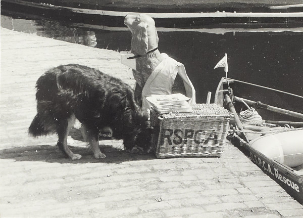 BW200-1-10-67b-16 image BW200-1-10-67b-16