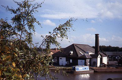 crt_wild_36 image crt_wild_36