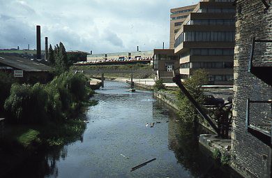 crt_wild_171 image crt_wild_171