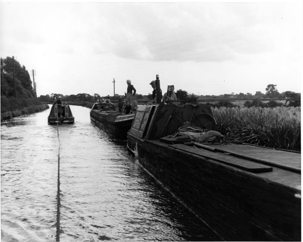 952_1037 image 952_1037