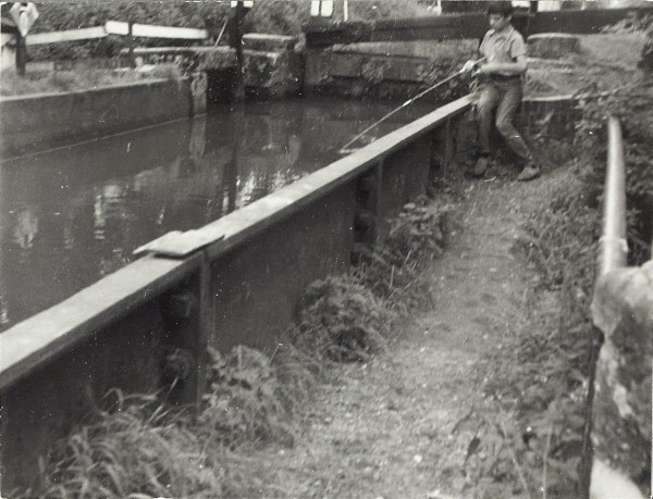 BW200-1-92-26 image BW200-1-92-26