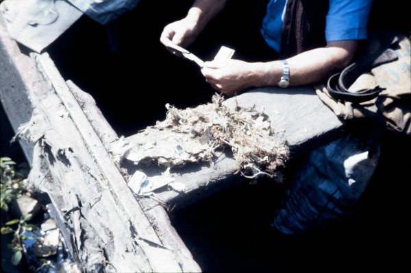 BW197-2-18-26 image BW197-2-18-26