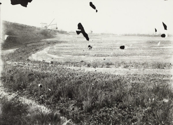 BW192-3-2-2-12-1-226 image BW192-3-2-2-12-1-226